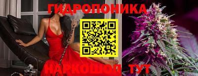 PSILOCYBIN Ставрополь