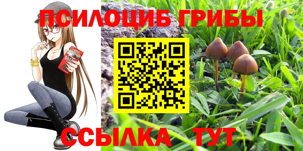 Галлюциногенные грибы GOLDEN TEACHER  Псилоцибиновые грибы MAGIC MUSHROOMS  Вход с VPN  Ейск 